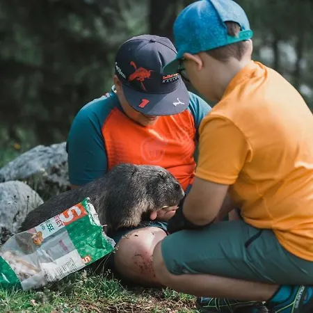 Haus Bergzauber Ramsau am Dachstein
