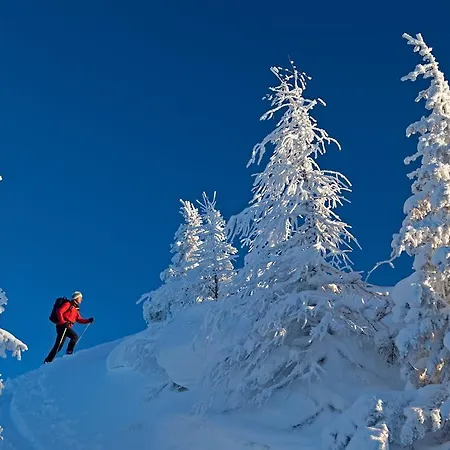 Haus Bergzauber Appartement *