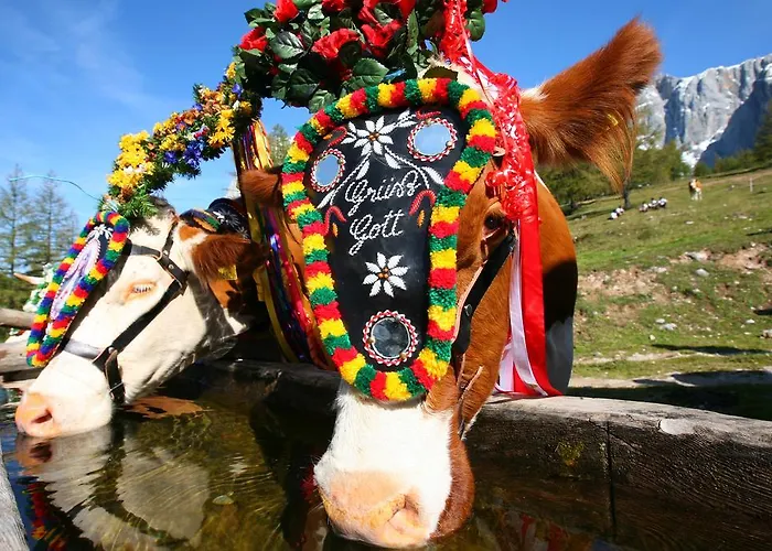 Appartamento Haus Bergzauber *